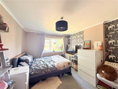 Picture 7